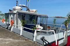 Brollopskorning-med-SeaTwin-2023