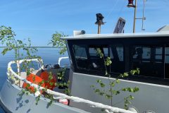 Bröllopskörning till Godnatt