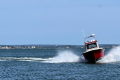 SeaFly kommer in mot hamnen