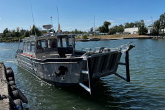 SjöWild vid bryggan